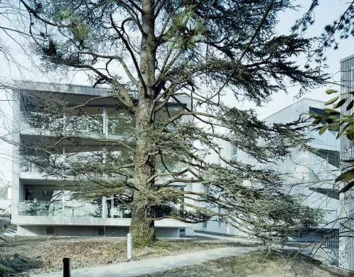Parc planté de vieux arbres