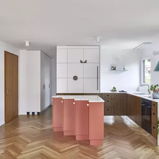 Flat for a Cat Lover