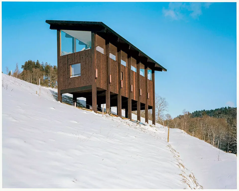 Les pilotis permettent de détacher la maison du sol et ainsi de modifier le moins possible le terrain naturel.