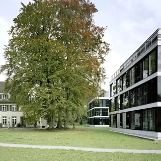 Aréal Fehlmann II