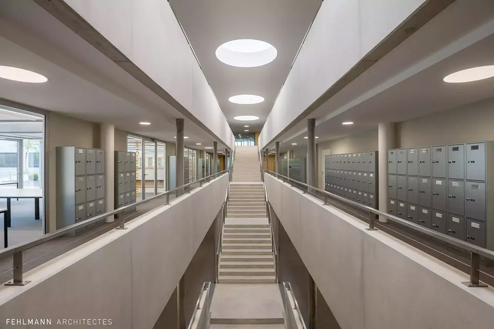 Circulation centale