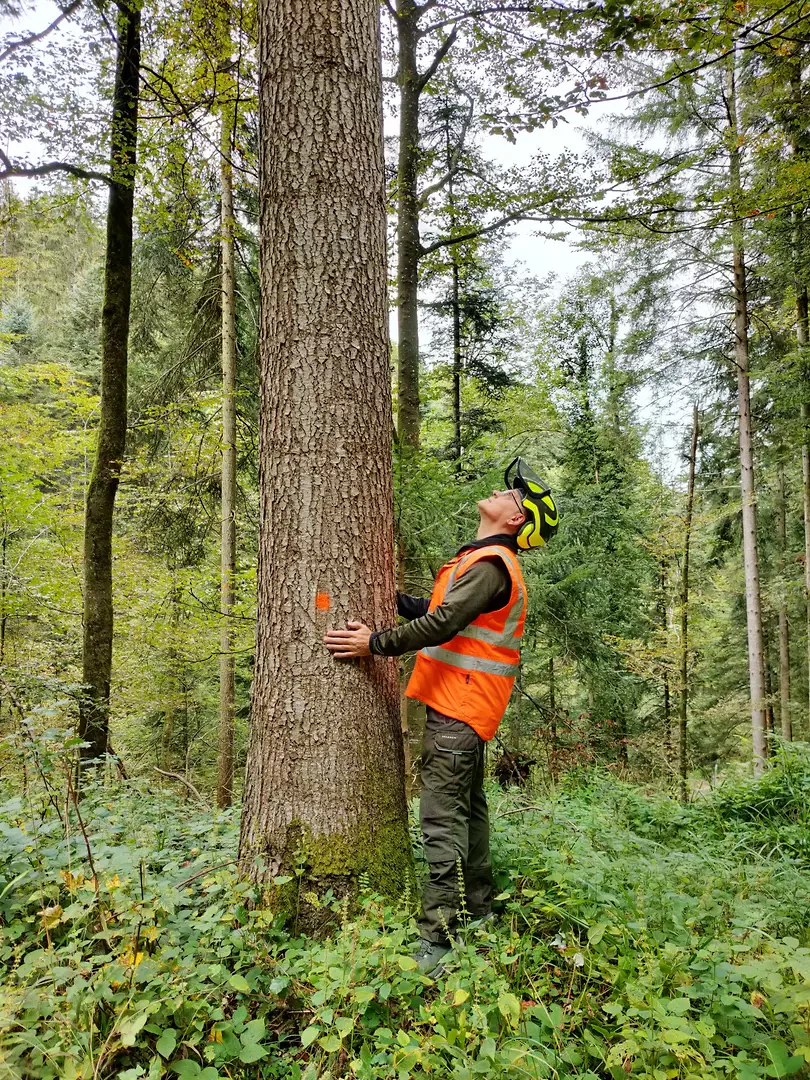Holzen im Lochwald, Toggenburg