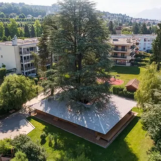 Maison du Cèdre