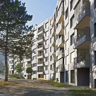 Constructions de remplacement Triemli