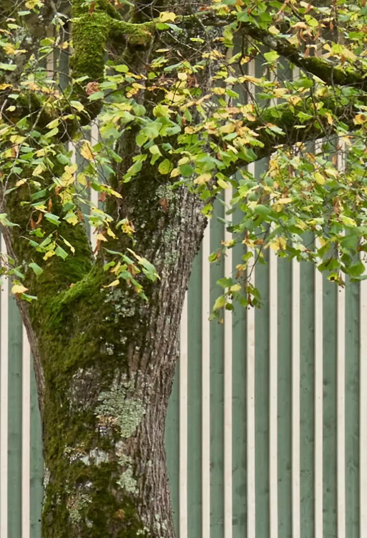 Strukturelle Korrespondenz zwischen Fassade und Umgebung