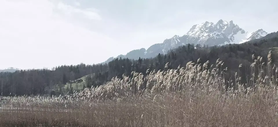Aussicht auf den Pilatus