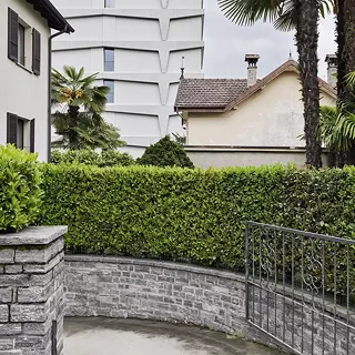 Palazzo Pioda