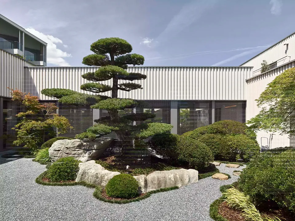 Corte bonsai nell'area medicale