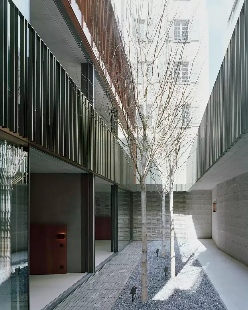 Cour aux bouleaux