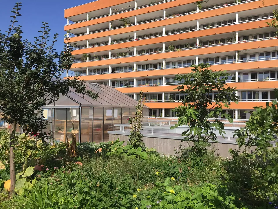 Potagers en toiture