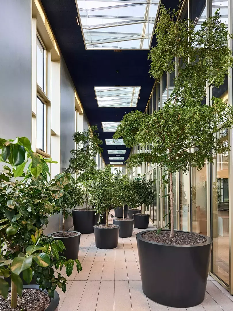 Orangerie mit Pflanzen, die für die Aromaproduktion relevant sind