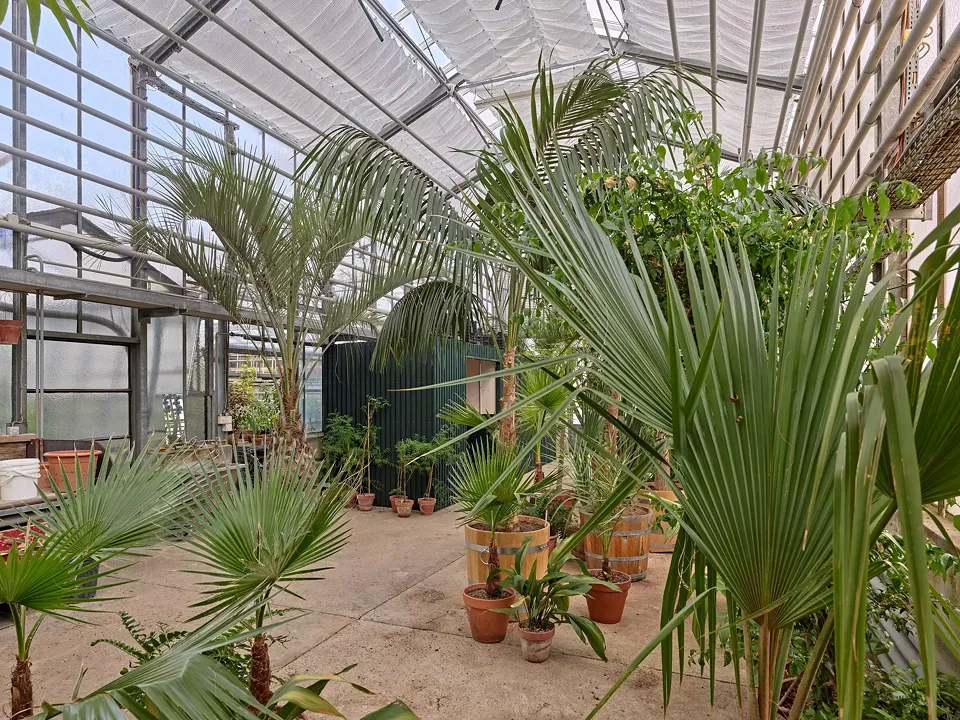 Serre de jardin