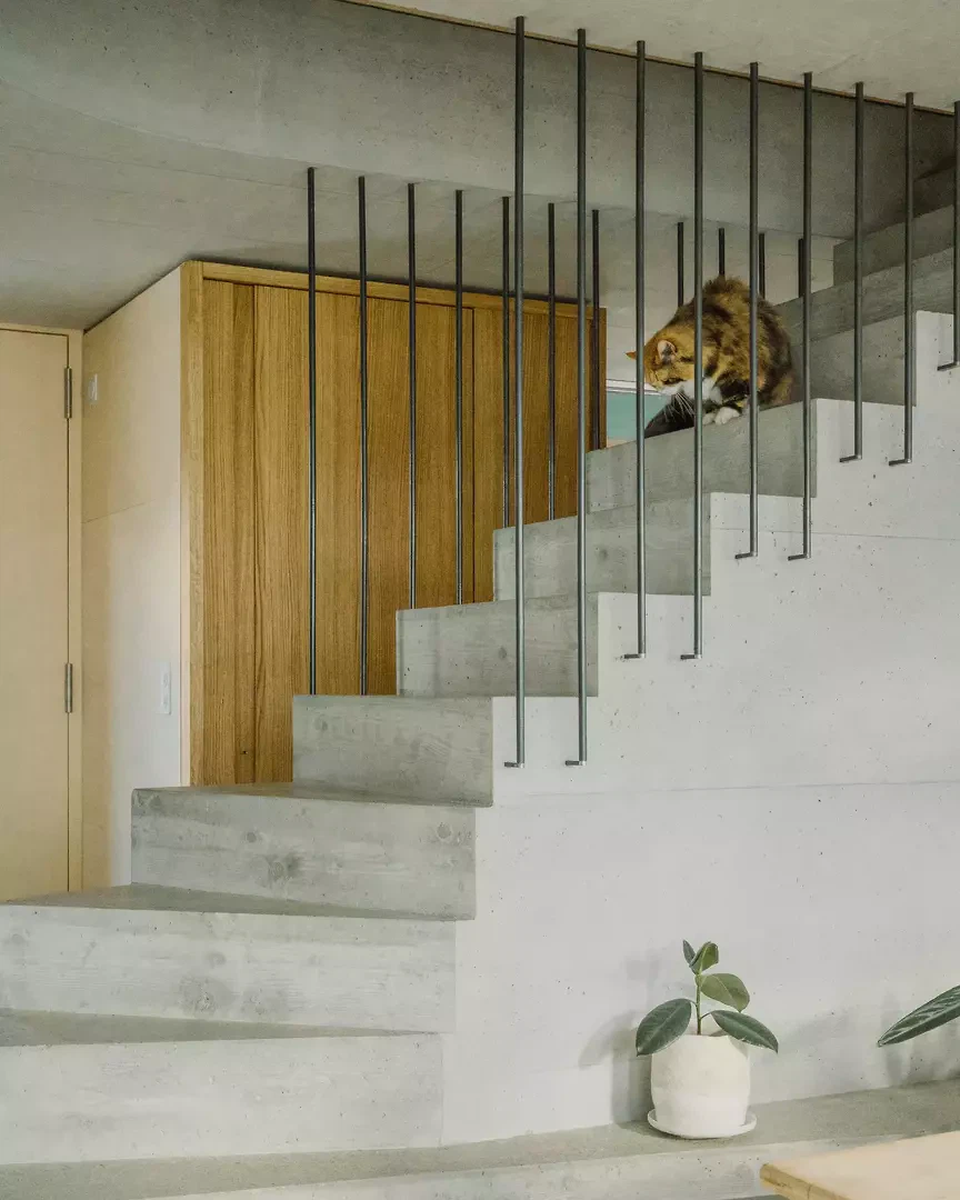 Der Treppenraum als Rückgrat der vertikalen Erschliessung