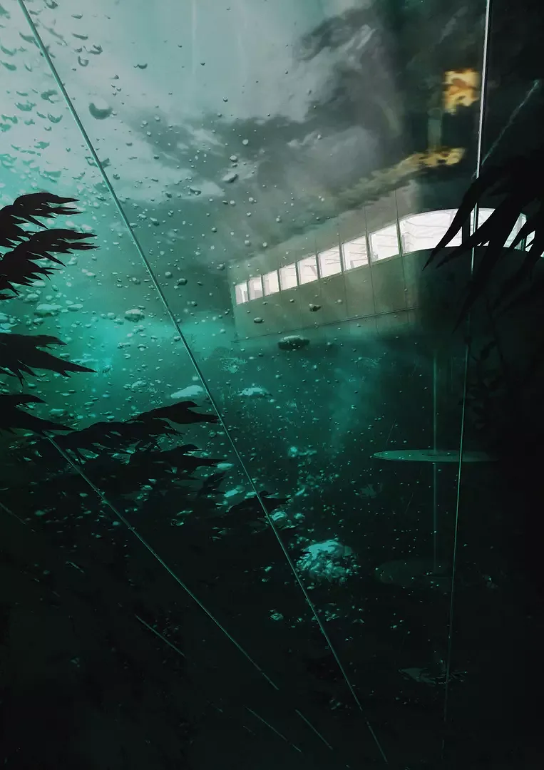 Fisch Habitat