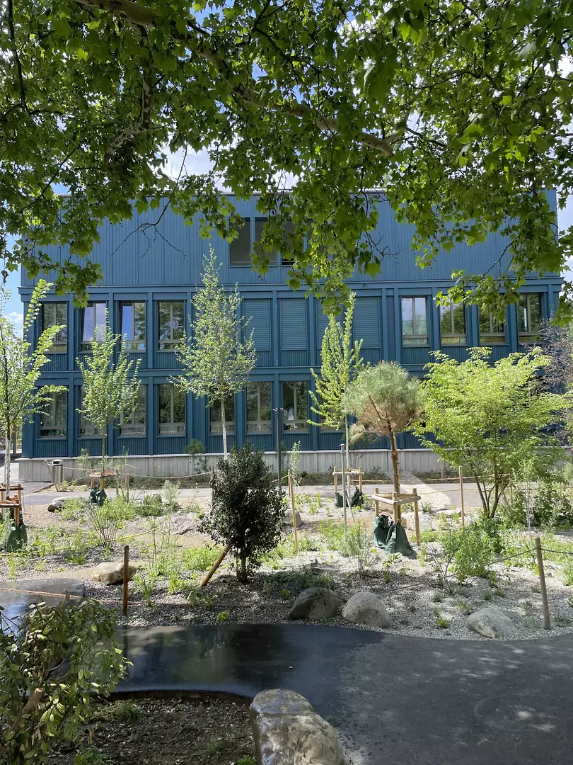 Neubau und Schwammstadt