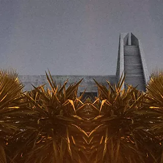 Palmera de Sevilla