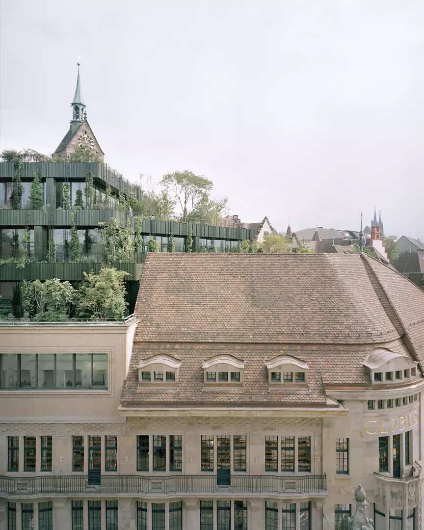 Dachgärten und historisches Dach