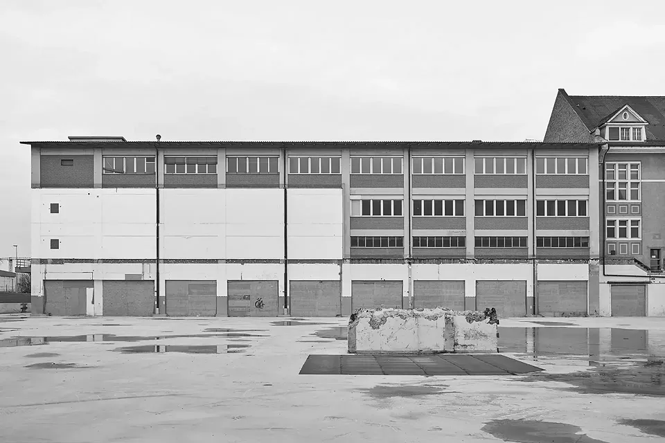Freilegung Bestand