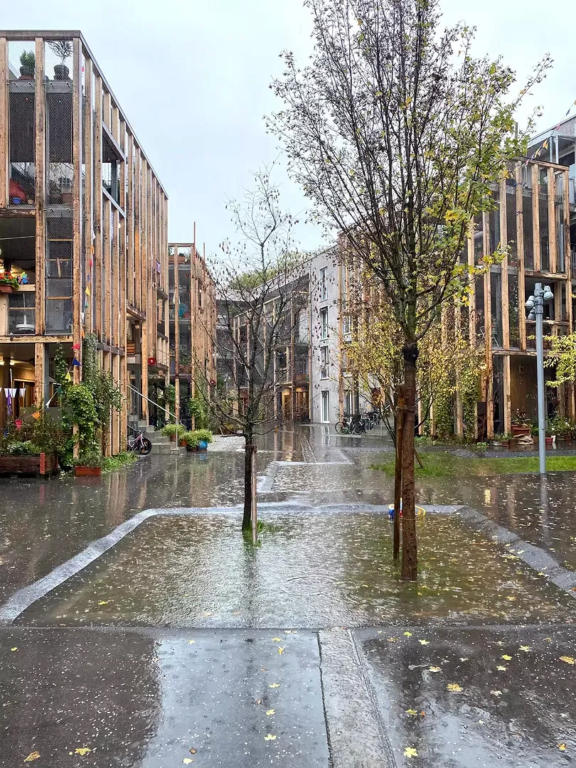 Schwammstadt? Schwammquartier. Mit robusten einfachen Lösungen wird anfallendes Regenwasser in die Baumgruben geführt und so die Gesundheit der Bäume gefördert, was wiederum das Stadtklima freut.