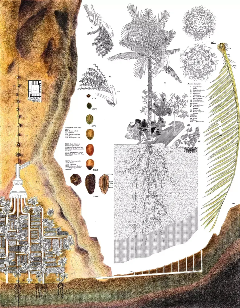 Grand Mezze, Collective Analysis