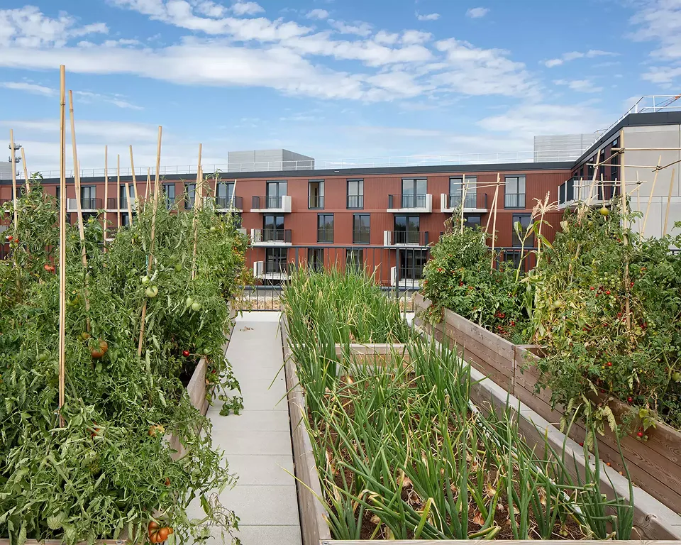 Jardins potagers en toiture
