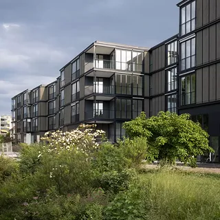 Wohnsiedlung Riedacker