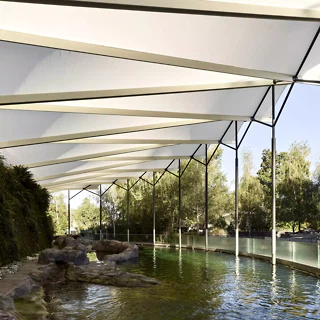 Neugestaltung Seehundeanlage im Tierpark Bern