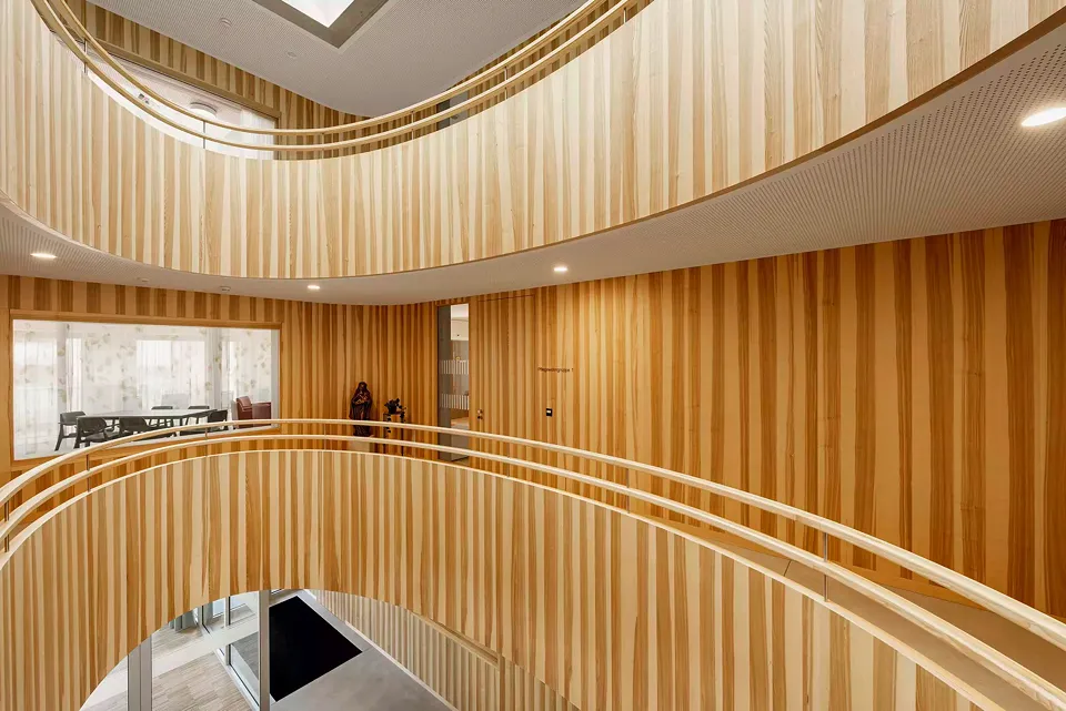 Le cœur de frêne détermine le caractère des espaces intérieurs, surtout dans l’atrium qui s’élève sur toute la hauteur du bâtiment et qui relie aussi tous les niveaux verticalement.