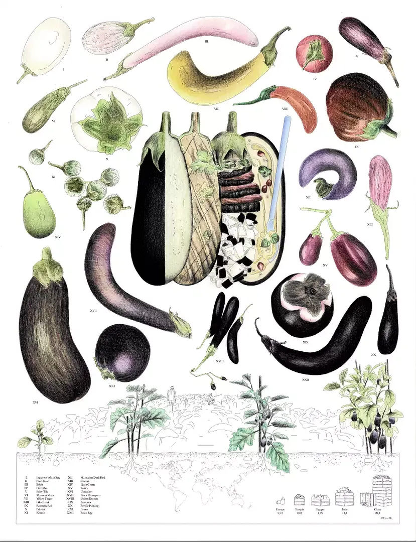 Grand Mezze – Collective Analysis - Aubergine