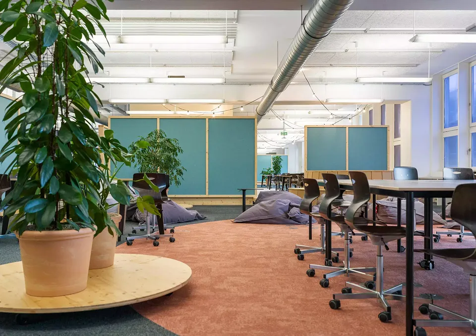 Einblick in die Loft School