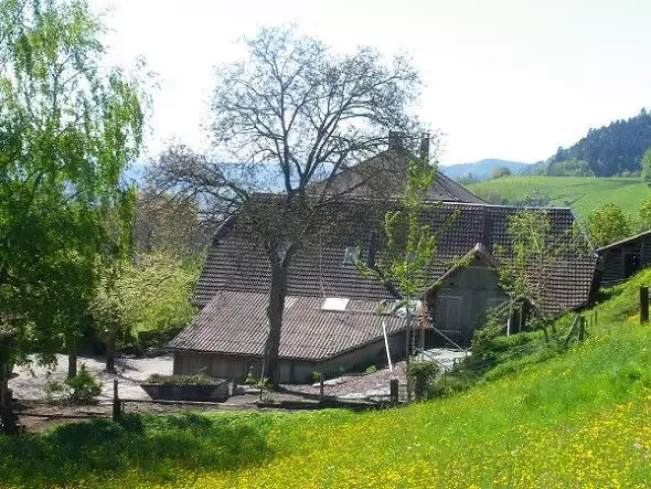 Vorher