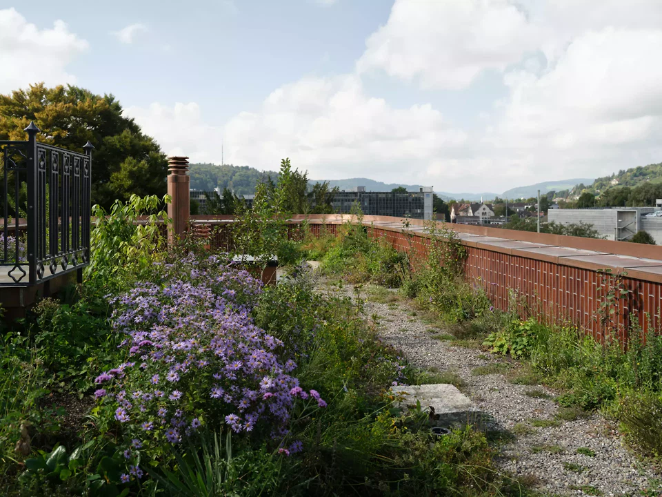 Dachgarten Stadtwohnung