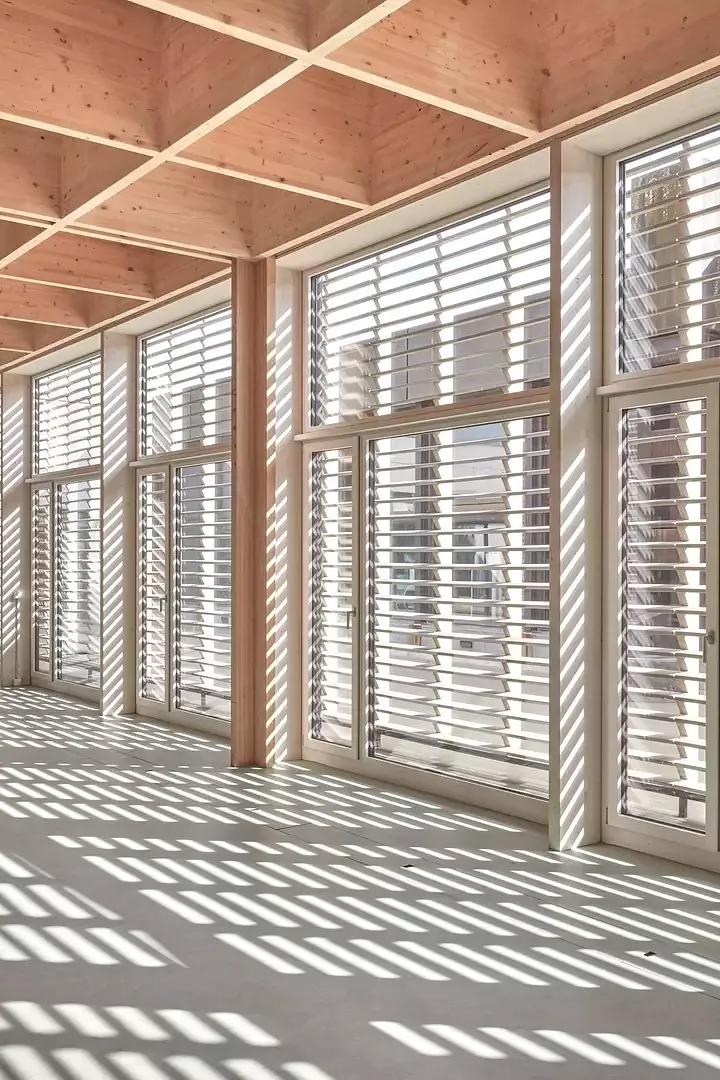 Die transparente Holzlamellenfassade filtert das Licht