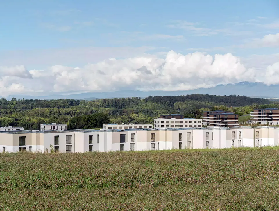 Panorama