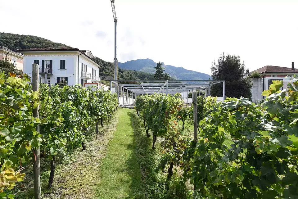 Struttura pergola 3