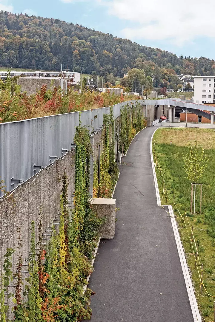 Mauerbegrünung am Otto-Nauer-Weg 