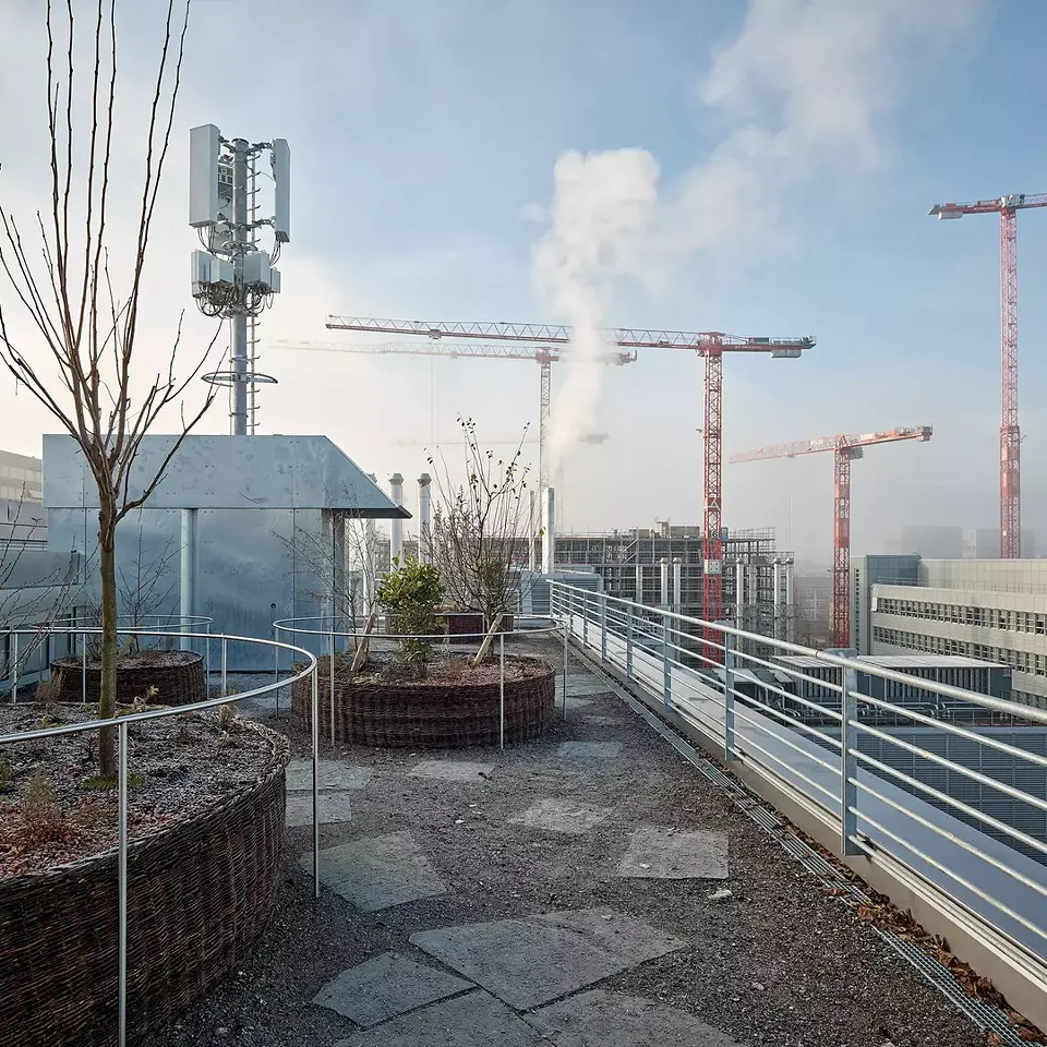 Dachgarten der Büroräume der Stiftung PWG