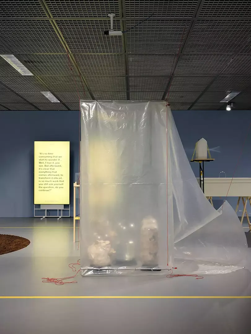 Mushroom cultivation chamber