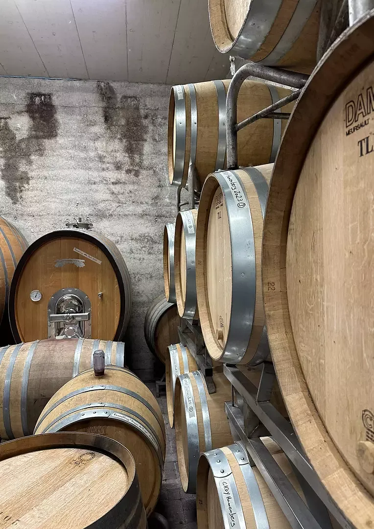 Barriques de vin dans le chai à barriques devant le mur en béton damé