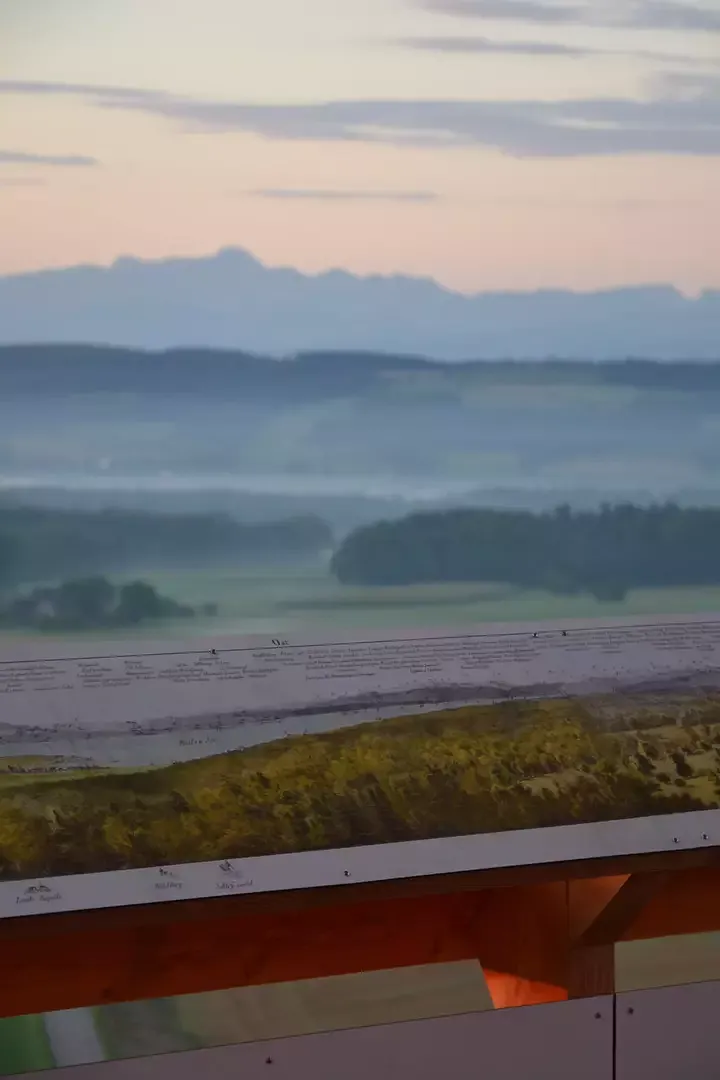 Panoramablick - Alpen