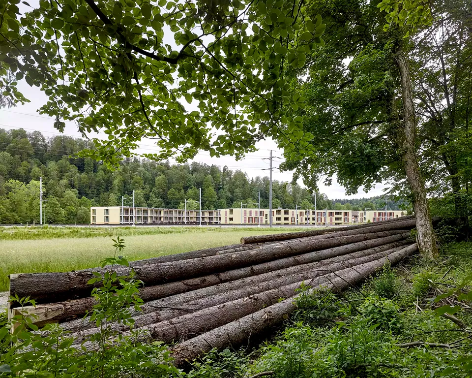 Blick Richtung Siedlung