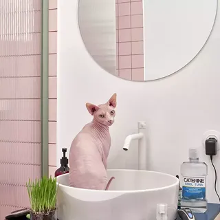 Bathroom for two Sphinxes