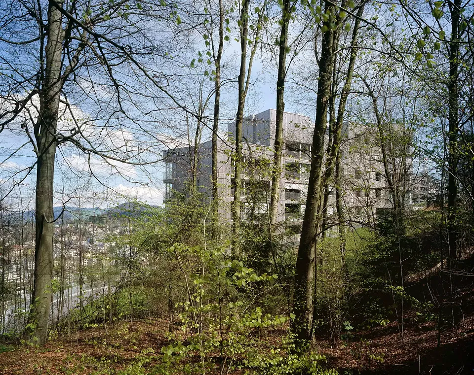 Blick vom Wald