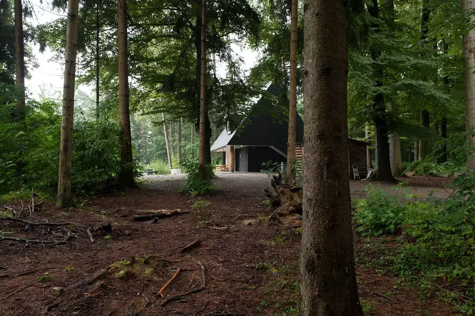 Situation Waldlichtung
