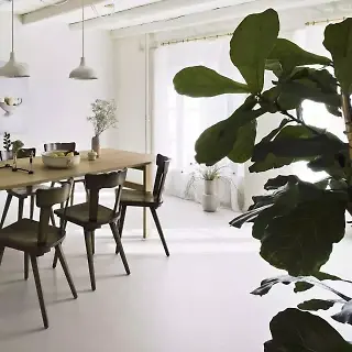 Rénovation Rue Louis-Favre