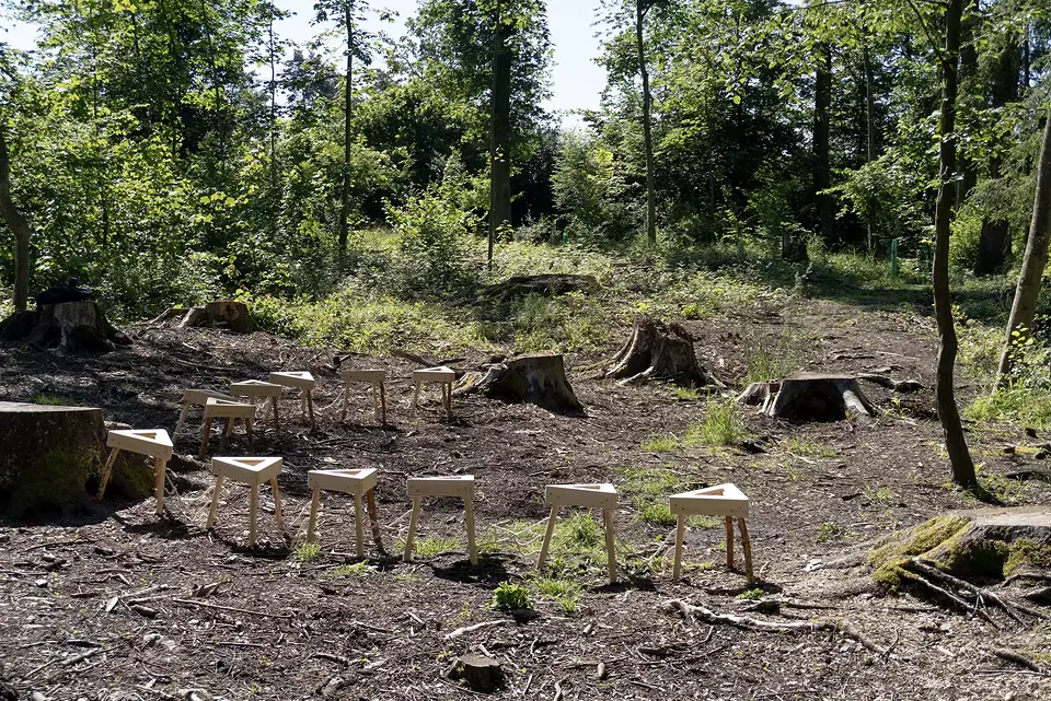 Projekt: Centipede – Standort: Storm Damage Area – «Centipede» besteht aus Sets von miteinander verbundenen Stühlen, die die Baumstümpfe imitieren und mit der Umgebung miteinander verbinden.