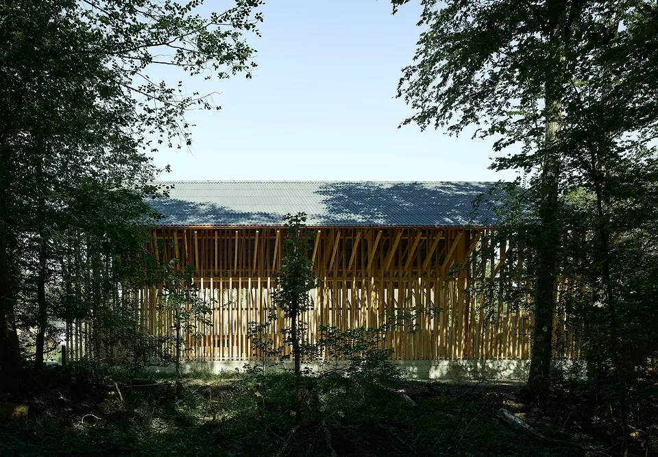 Blick aus dem Wald