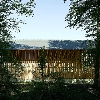 Dépôt de bois
