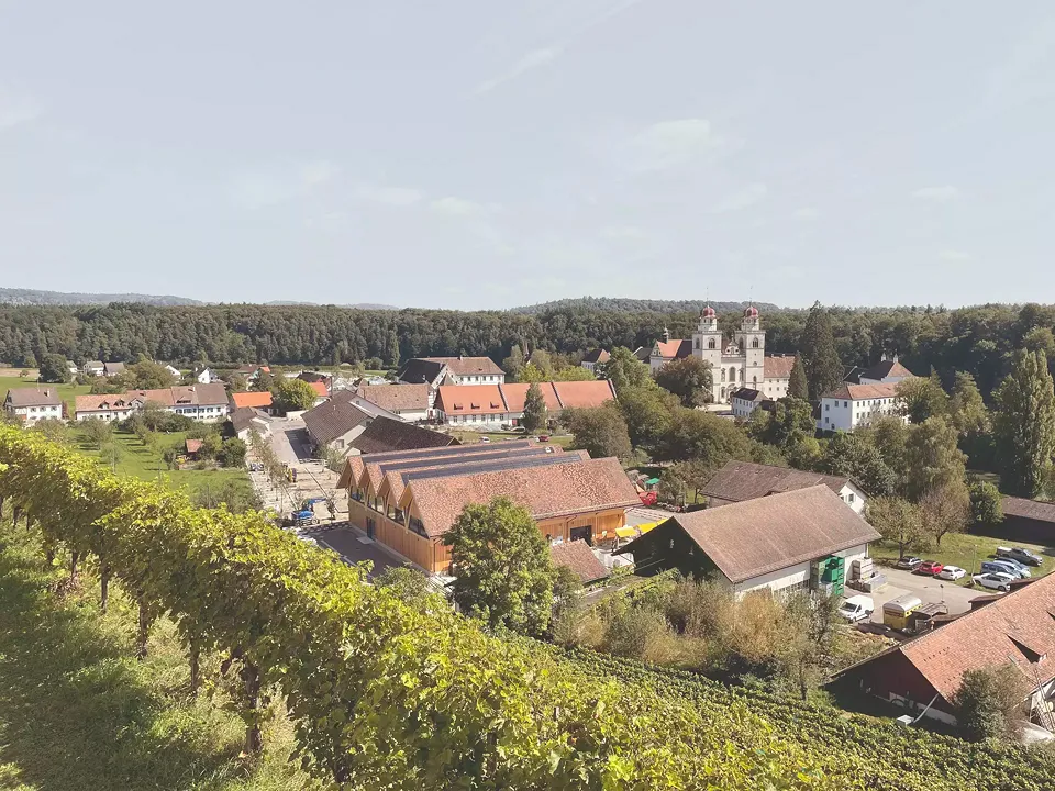 Einbettung Rheinau