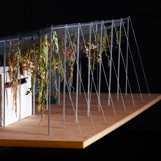 Food Futures
